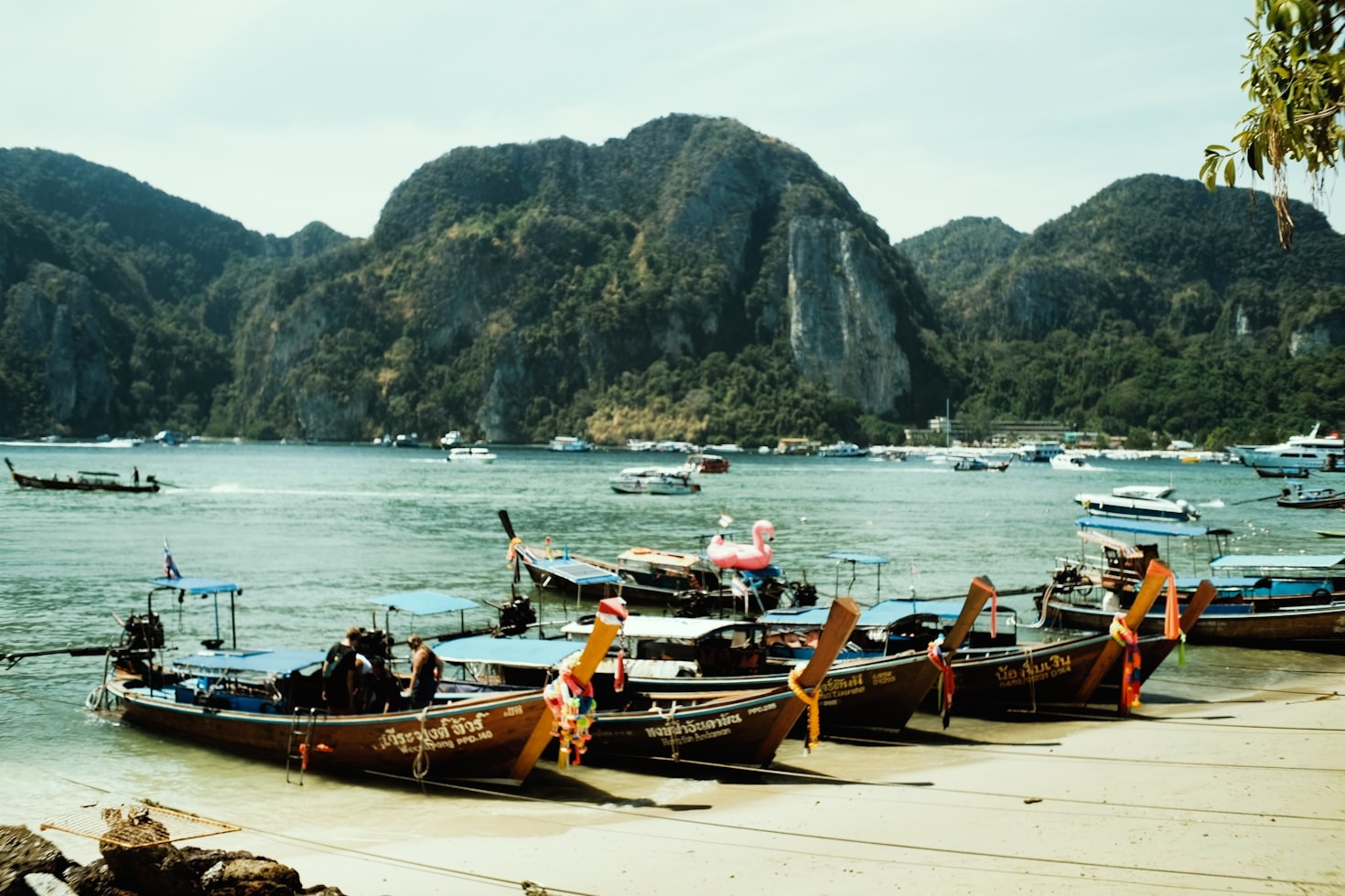 Why Choose Private Bus Services for Your Travels